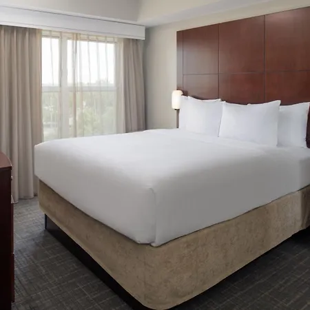 Residence Inn By Marriot Clearwater Downtown-2