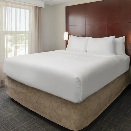 Residence Inn By Marriot Clearwater Downtown-3